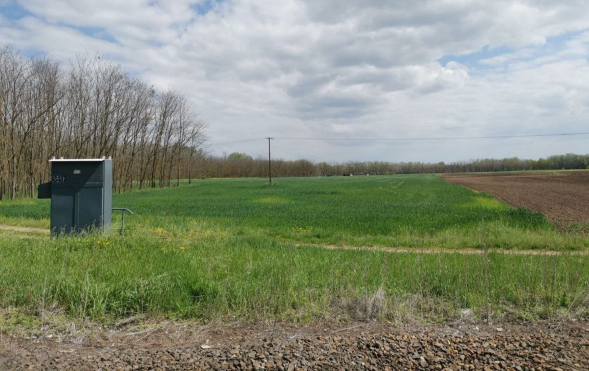 Tiszaalpár szántó